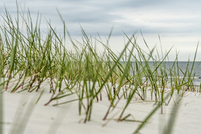 foto fra Pixabay-Sinousxl